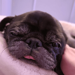 Edgar tongue