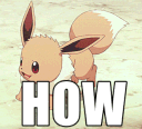 EeveeHOW