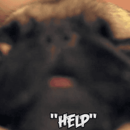 MayaHelp