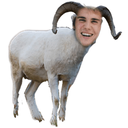 Bieber Goat