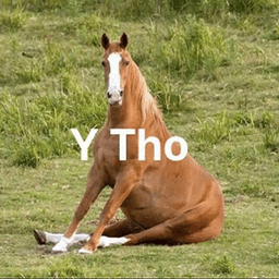 Horse Y Tho