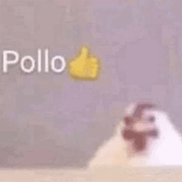 Pollo