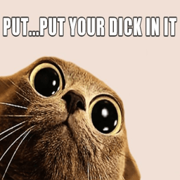 Putyourdickinit