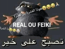Real ou feiki?