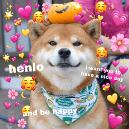 Wholesome: Shiba Inu