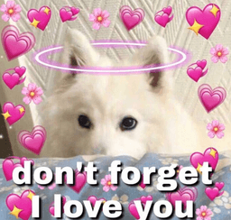 Wholesome: White Doggie