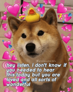 Wholesome: Doggie Duck