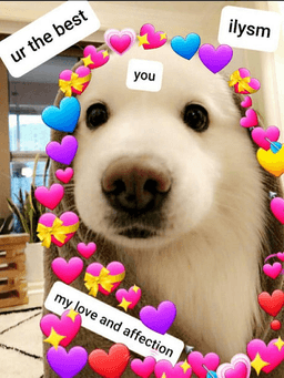 Wholesome: Dog Hearts Ilysm