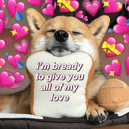 Wholesome: Bread Dog