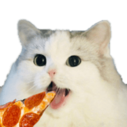 catpizza