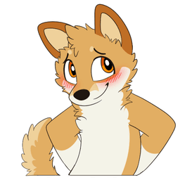 Dingo Blush