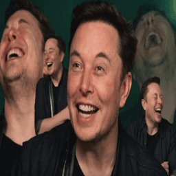 Elon Musk laugh