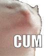 cum cat