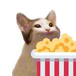 Cat POPcorn