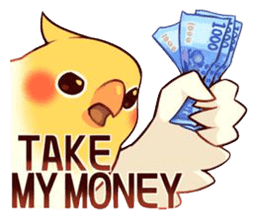 take my money birb