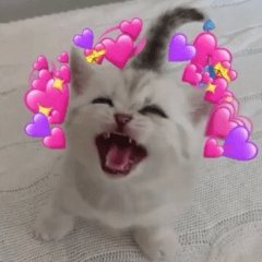 KittyLove_FT