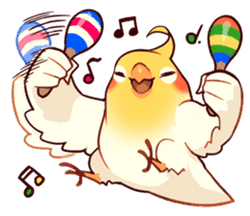 music birb