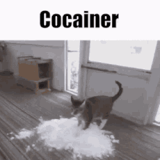 Cocainer