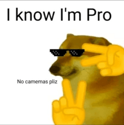 I know i am pro