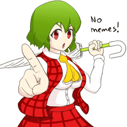 no_memes