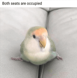 occupied