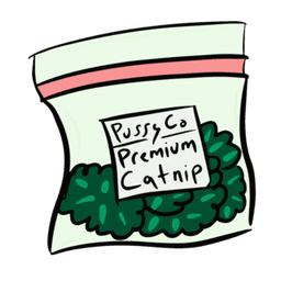 catnip