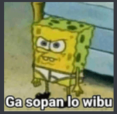 wp gak sopan