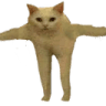 TPoseTrevor