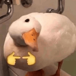 duckuwu