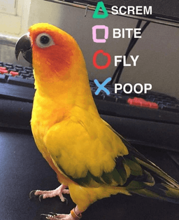 birb controller