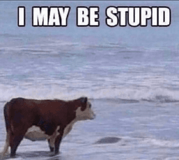 I may be stupid