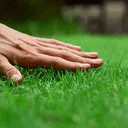 go touch some grass