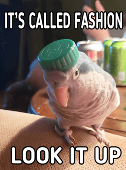 It’s Called Fashion