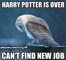 harry potter sad birb