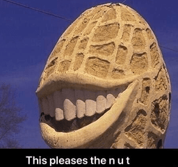 This pleases the n u t