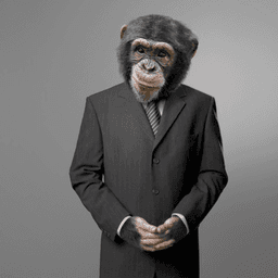 Monkey in business