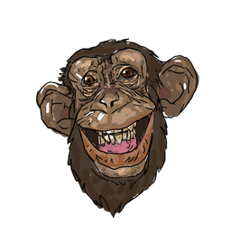 monkey_face