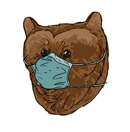 bear_mask