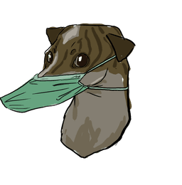 dog_mask