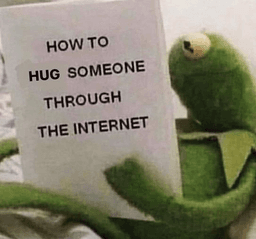 hugs_kermit