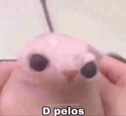 Dpelos