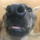 smell bad