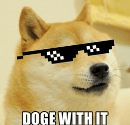 dogewithit