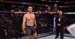 Stipe Miocic