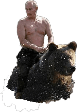 bearputin