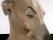 O gurl