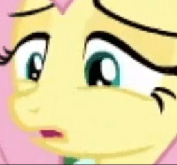 FlutterWTF