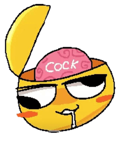 cock