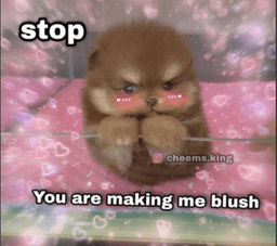 Stop_blush