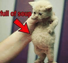 full of soup